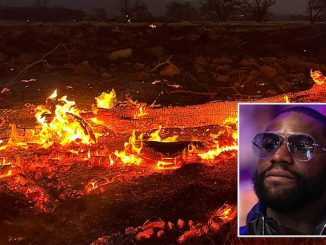 Floyd Mayweather pays for 70 families to flee Maui as wildfires devastate the Hawaiian island – forking out on flights, hotels, clothes and food for victims
