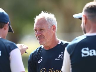 Wallabies World Cup campaign rocked by assistant coach departure