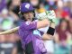 Tim Paine joins Adelaide Strikers as assistant coach in BBL