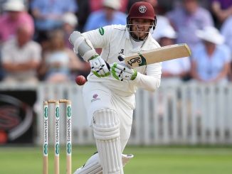 Somerset and England wicketkeeper Steven Davies announces retirement after 20-year playing career