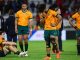 Portugal will smell blood after Wallabies Cup disaster