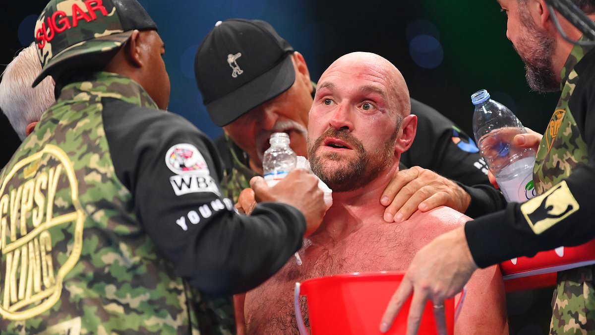 Lennox Lewis questions whether Tyson Fury had a full camp ahead of Francis Ngannou fight as boxing world reacts to the Gypsy King’s underwhelming victory in Saudi Arabia