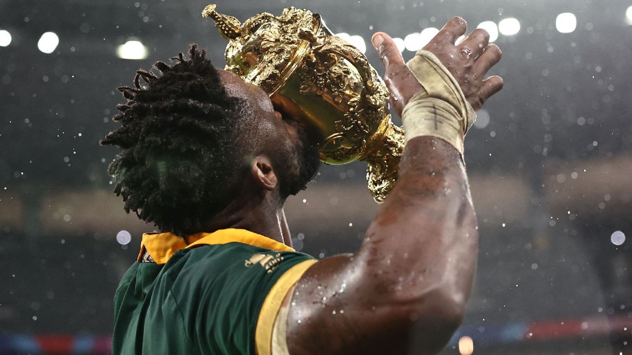 Springboks master the fine margins for Rugby World Cup glory