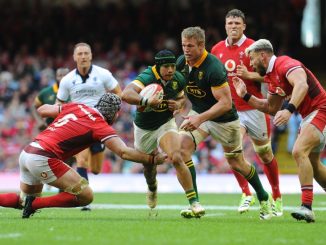 Wales to face South Africa at Twickenham before Australia Tests