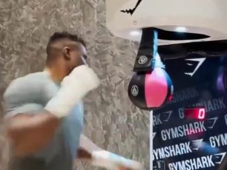 Tyson Fury, Anthony Joshua, Francis Ngannou and Deontay Wilder have ALL had a go on arcade punch machine… but which heavyweight fighter comes out on top?
