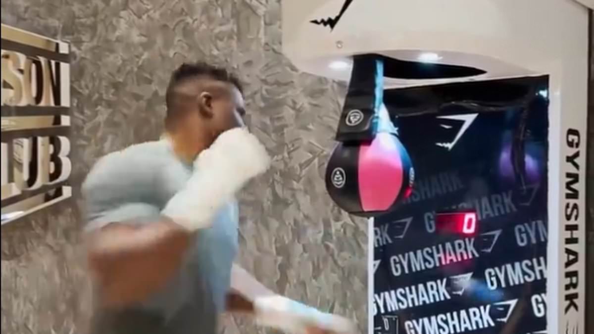 Tyson Fury, Anthony Joshua, Francis Ngannou and Deontay Wilder have ALL had a go on arcade punch machine… but which heavyweight fighter comes out on top?