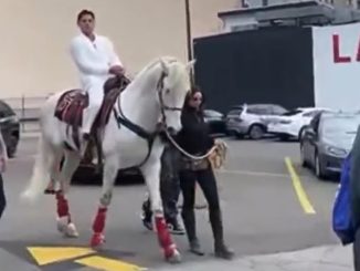 Ryan Garcia rides a HORSE to the press conference for his upcoming fight against Devin Haney… before being carried by security into the venue in LA