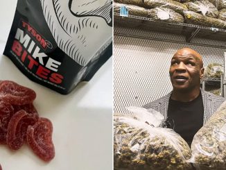 Mike Tyson ‘planning event in Times Square to promote his ‘Mike Bites’ weed gummies (which are shaped like a chewed ear) ahead of boxing return vs. Jake Paul’… nearly 30 years after infamous Evander Holyfield ‘bite fight’